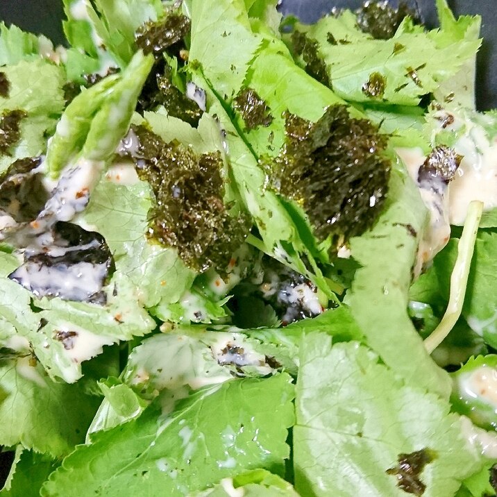 簡単 混ぜるだけ 海苔と三つ葉のサラダ レシピ 作り方 By ヨギーニ 楽天レシピ 簡単 混ぜるだけ 海苔と三つ葉のサラダ レシピ 作り方 By ヨギーニ 楽天レシピ